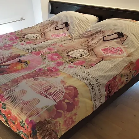 Panzió Rechthuis Zouteveen Schipluiden
