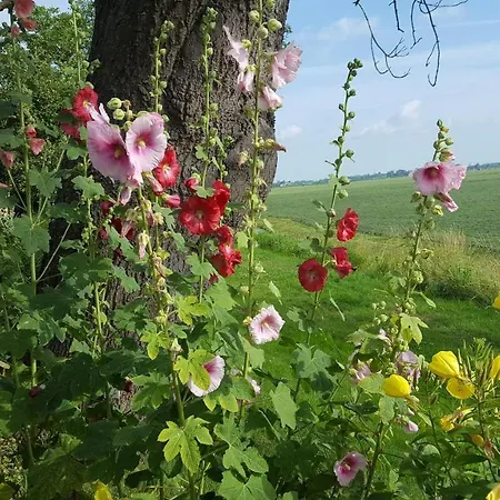 Rechthuis Zouteveen
