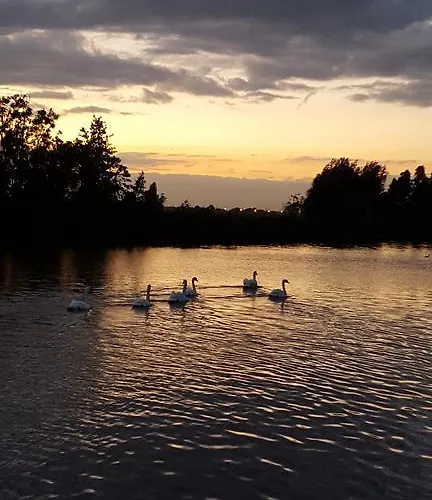 Rechthuis Zouteveen Oda ve Kahvaltı 4*