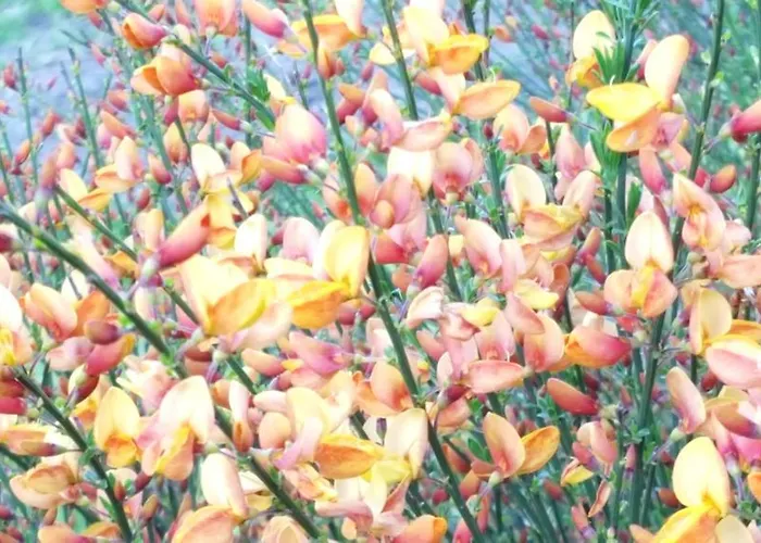 Rechthuis Zouteveen Bed and breakfast 4*