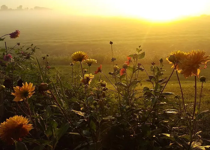Rechthuis Zouteveen 4* Schipluiden