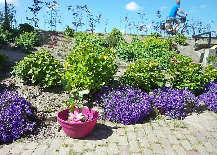 Rechthuis Zouteveen Bed and breakfast Schipluiden