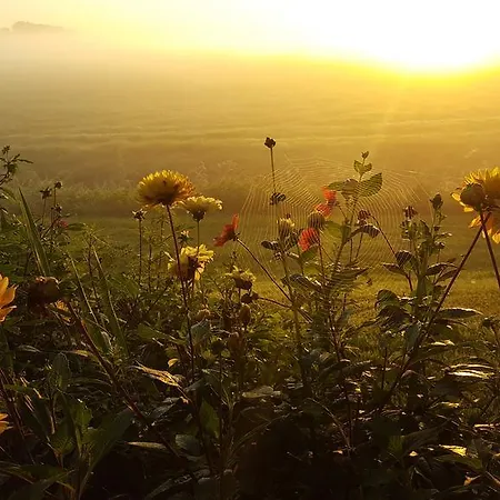 Rechthuis Zouteveen 4* Schipluiden